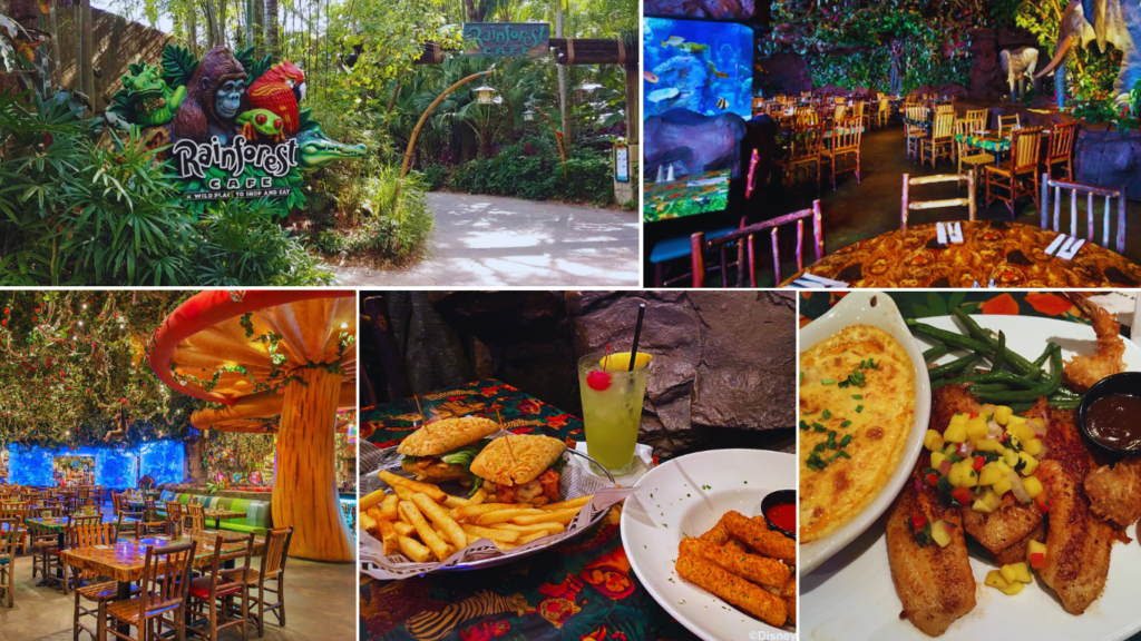 Onde comer no Animal Kingdom
